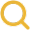 icon search